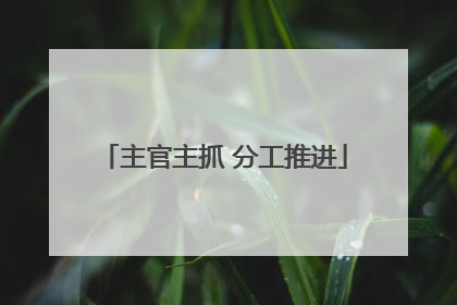 主官主抓 分工推进