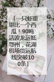 一只虾重堪比一个西瓜！90吨活波龙运抵鄂州，花湖机场货运航线突破100条