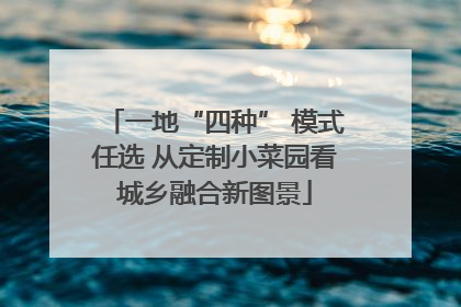 一地“四种” 模式任选 从定制小菜园看城乡融合新图景
