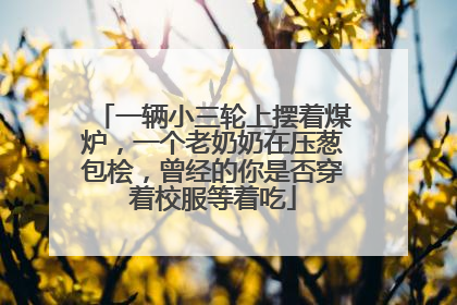 一辆小三轮上摆着煤炉，一个老奶奶在压葱包桧，曾经的你是否穿着校服等着吃