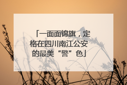 一面面锦旗，定格在四川南江公安的最美“警”色