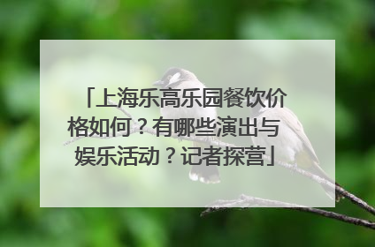 上海乐高乐园餐饮价格如何？有哪些演出与娱乐活动？记者探营