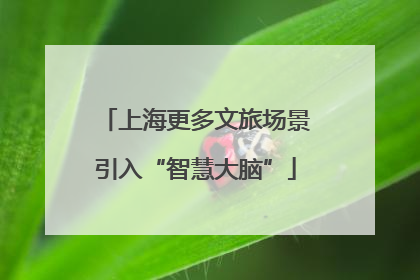 上海更多文旅场景引入“智慧大脑”