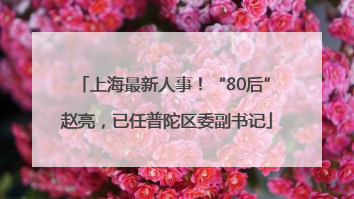 上海最新人事！“80后”赵亮，已任普陀区委副书记