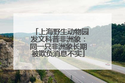 上海野生动物园发文科普非洲象：同一只非洲象长期被欺负消息不实