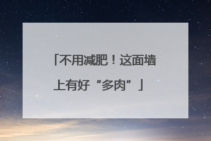 不用减肥！这面墙上有好“多肉”