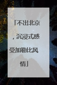 不出北京，沉浸式感受加勒比风情