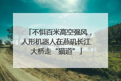 不惧百米高空强风，人形机器人在燕矶长江大桥走“猫道”