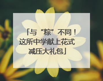 与“粽”不同！这所中学献上花式减压大礼包