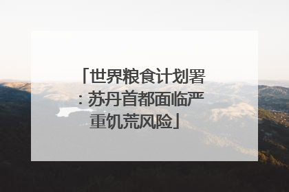 世界粮食计划署：苏丹首都面临严重饥荒风险