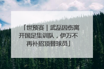 世预赛｜武磊因伤离开国足集训队，伊万不再补招顶替球员