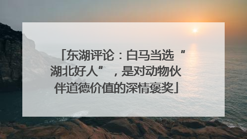 东湖评论：白马当选“湖北好人”，是对动物伙伴道德价值的深情褒奖