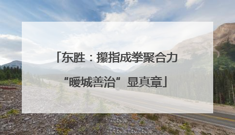 东胜：攥指成拳聚合力 “暖城善治”显真章