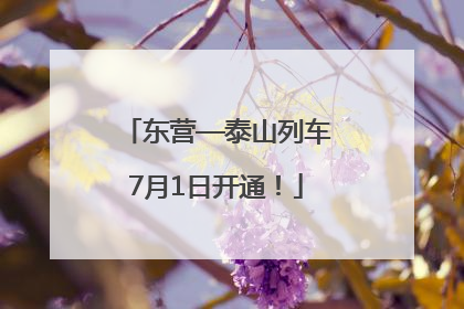 东营—泰山列车7月1日开通！
