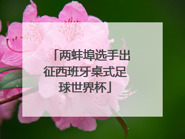两蚌埠选手出征西班牙桌式足球世界杯