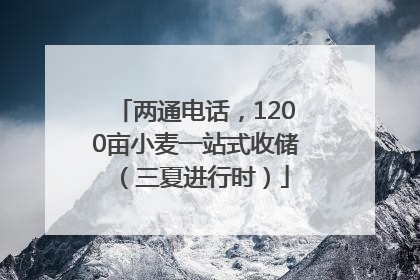 两通电话，1200亩小麦一站式收储（三夏进行时）