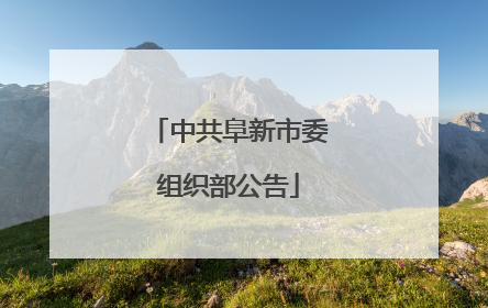 中共阜新市委组织部公告
