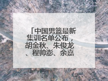 中国男篮最新集训名单公布，胡金秋、朱俊龙、程帅澎、余嘉豪再次入选