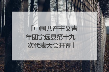 中国共产主义青年团宁远县第十九次代表大会开幕