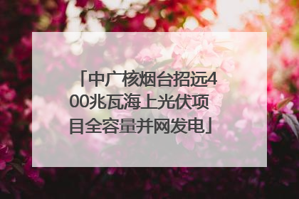 中广核烟台招远400兆瓦海上光伏项目全容量并网发电