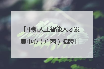 中新人工智能人才发展中心（广西）揭牌