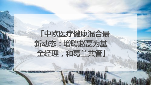 中欧医疗健康混合最新动态：增聘赵磊为基金经理，和葛兰共管