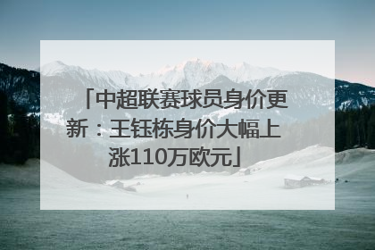 中超联赛球员身价更新：王钰栋身价大幅上涨110万欧元