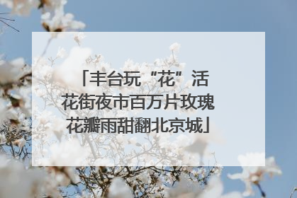 丰台玩“花”活 花街夜市百万片玫瑰花瓣雨甜翻北京城