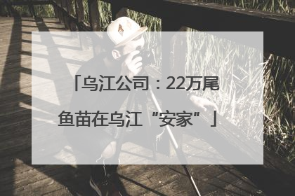 乌江公司：22万尾鱼苗在乌江“安家”