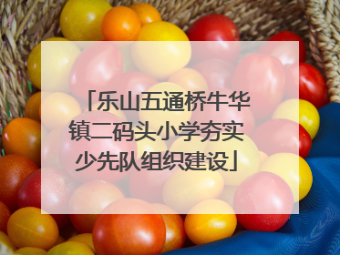 乐山五通桥牛华镇二码头小学夯实少先队组织建设