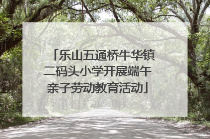 乐山五通桥牛华镇二码头小学开展端午亲子劳动教育活动