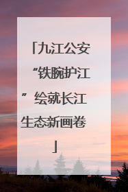 九江公安“铁腕护江”绘就长江生态新画卷