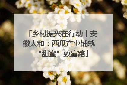乡村振兴在行动丨安徽太和：西瓜产业铺就“甜蜜”致富路