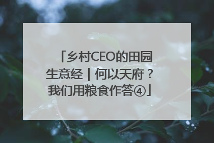 乡村CEO的田园生意经｜何以天府？我们用粮食作答④