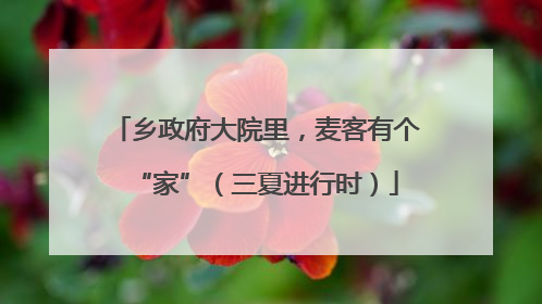 乡政府大院里，麦客有个“家”（三夏进行时）