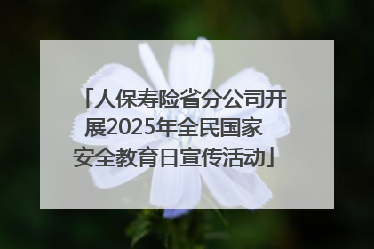 人保寿险省分公司开展2025年全民国家安全教育日宣传活动