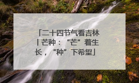二十四节气看吉林丨芒种：“芒”着生长，“种”下希望