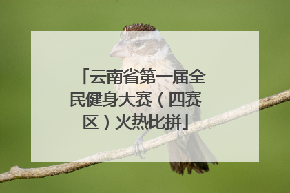 云南省第一届全民健身大赛（四赛区）火热比拼