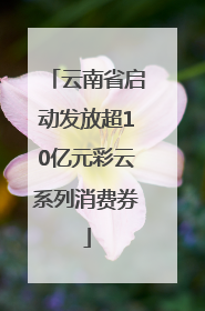 云南省启动发放超10亿元彩云系列消费券