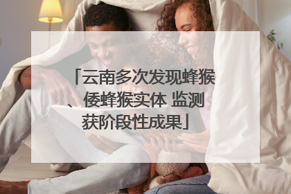 云南多次发现蜂猴、倭蜂猴实体 监测获阶段性成果