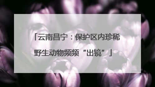 云南昌宁：保护区内珍稀野生动物频频“出镜”