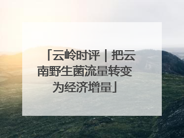 云岭时评｜把云南野生菌流量转变为经济增量
