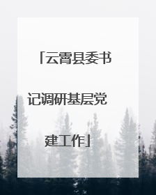 云霄县委书记调研基层党建工作