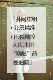 井网重组+分层精准+压裂精控 大庆油田“唤醒”薄差油藏