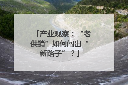 产业观察：“老供销”如何闯出“新路子”？