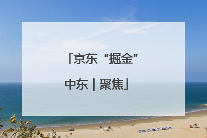 京东“掘金”中东｜聚焦
