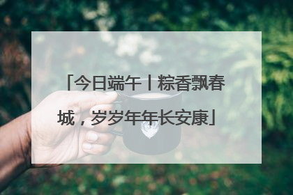 今日端午丨粽香飘春城，岁岁年年长安康