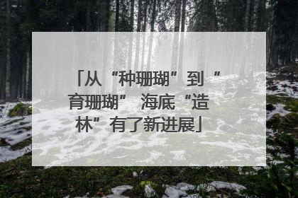 从“种珊瑚”到“育珊瑚” 海底“造林”有了新进展