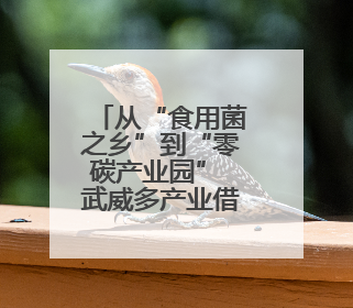 从“食用菌之乡”到“零碳产业园” 武威多产业借兰洽会破圈