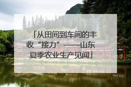 从田间到车间的丰收“接力”——山东夏季农业生产见闻